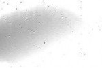 cropped-N00061934.jpg